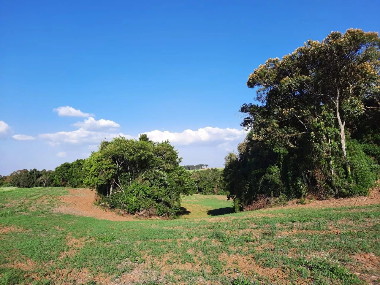 Fazenda à venda com 1 quarto, 127m² - Foto 23