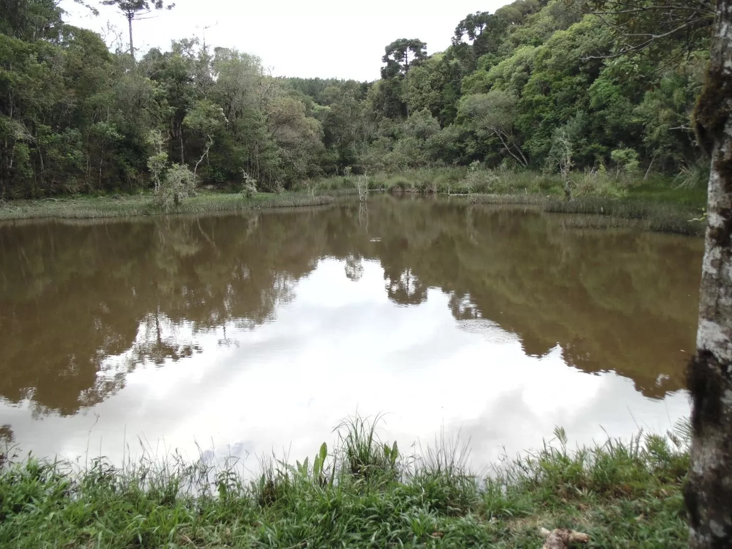 Fazenda à venda com 1 quarto, 20m² - Foto 16