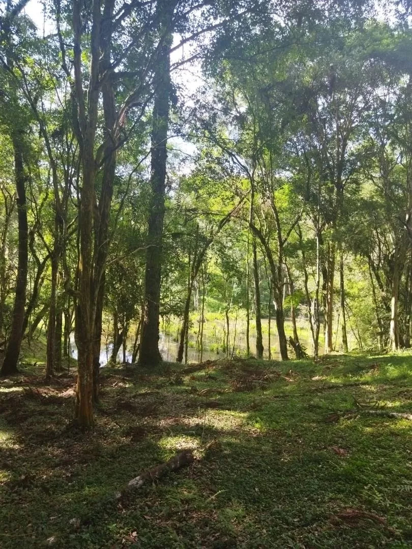 Fazenda à venda com 1 quarto, 20m² - Foto 24