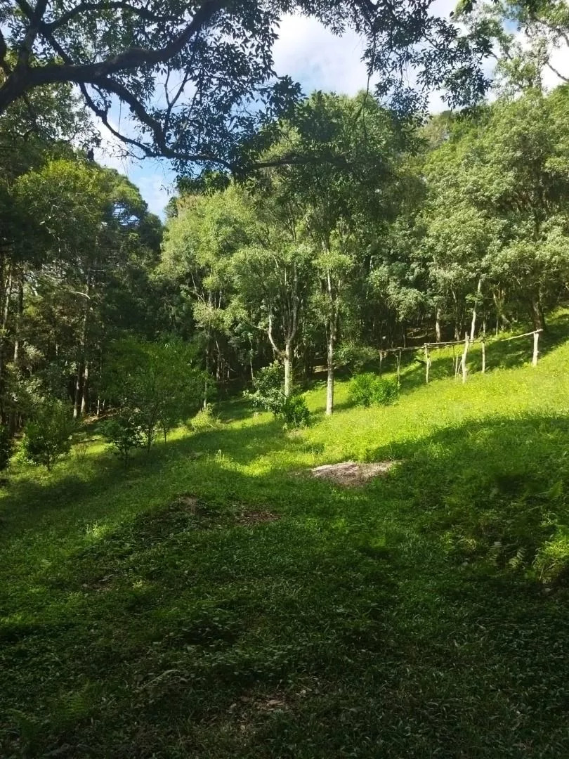 Fazenda à venda com 1 quarto, 20m² - Foto 22