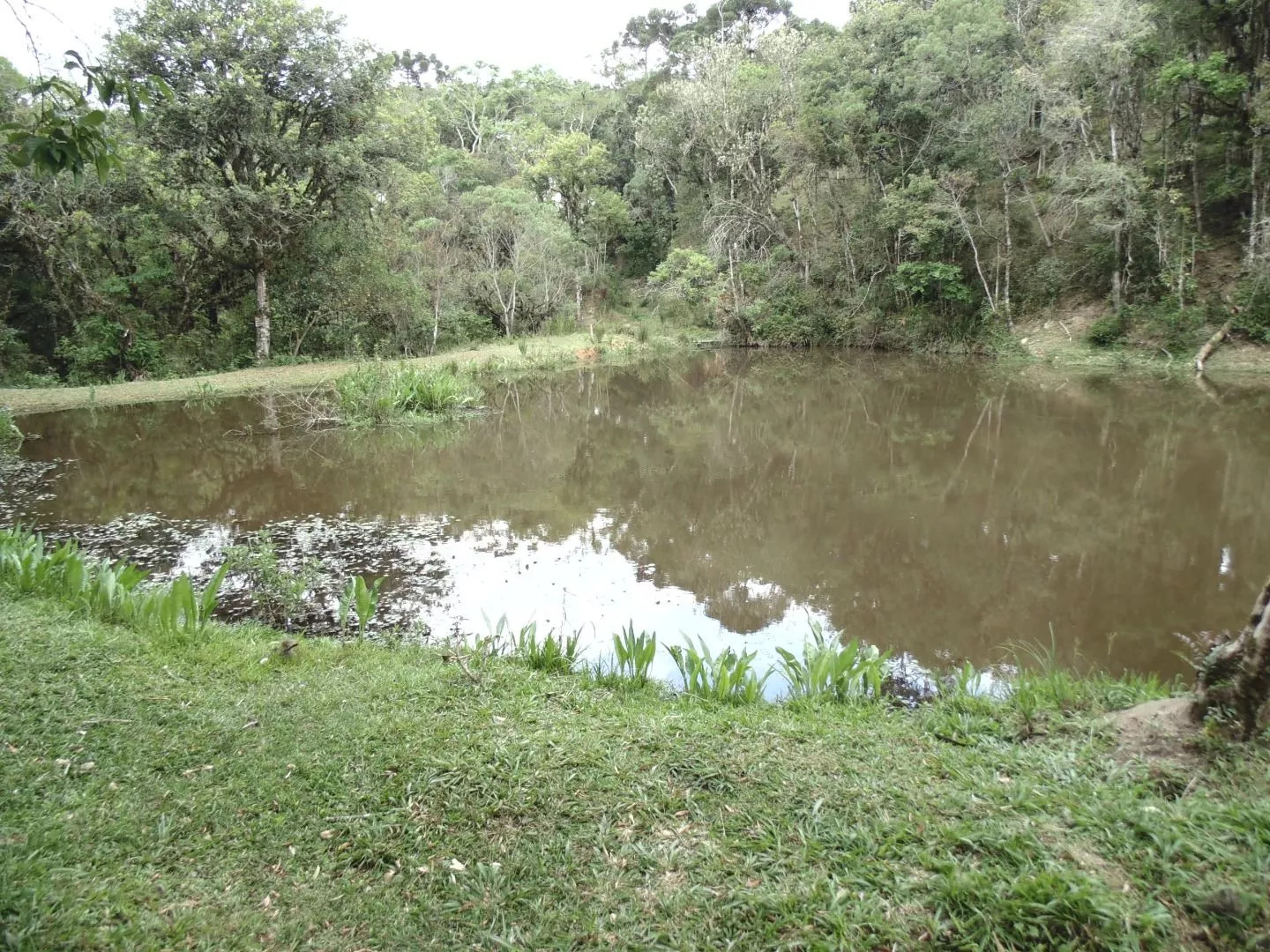 Fazenda à venda com 1 quarto, 20m² - Foto 15