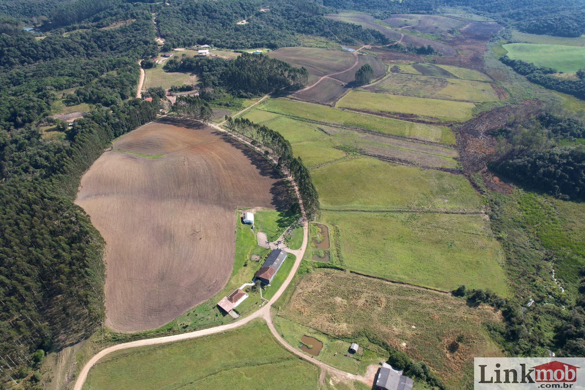 Fazenda à venda com 1 quarto, 1000m² - Foto 3