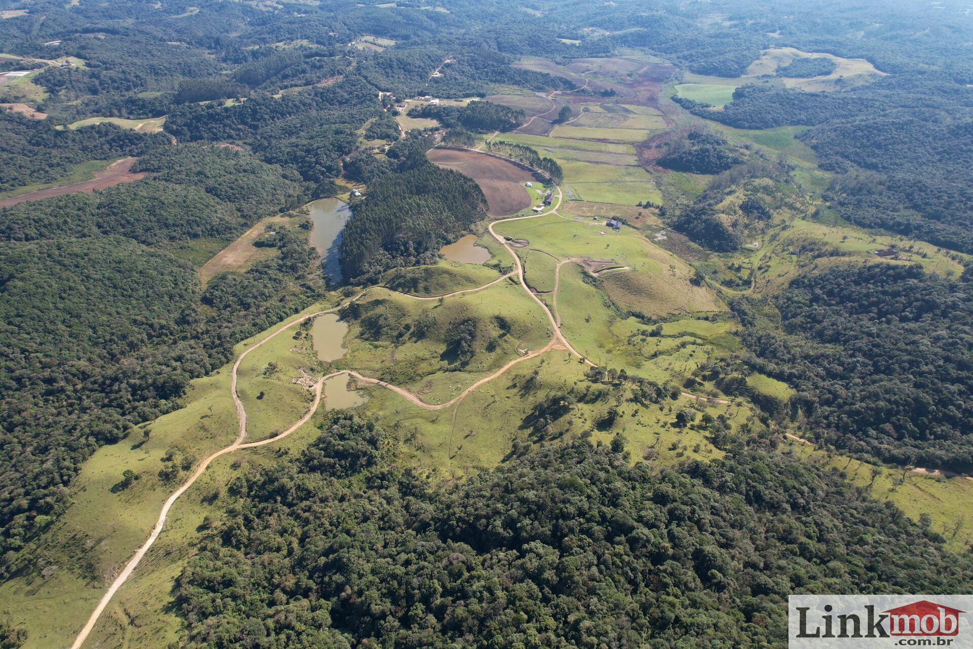 Fazenda à venda com 1 quarto, 1000m² - Foto 2