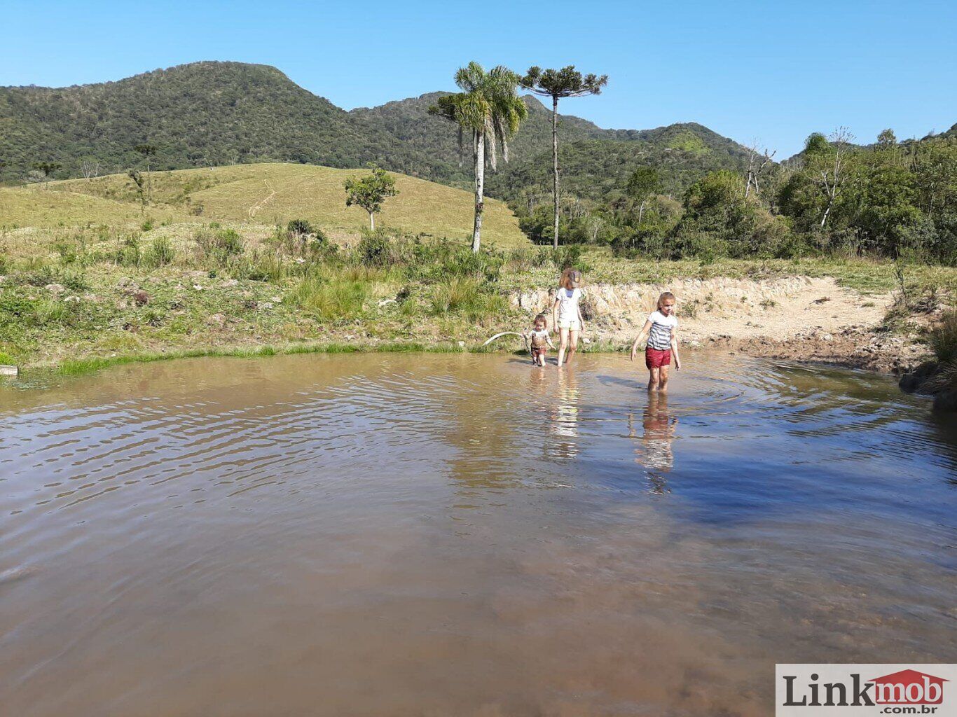 Fazenda à venda com 1 quarto, 1000m² - Foto 32