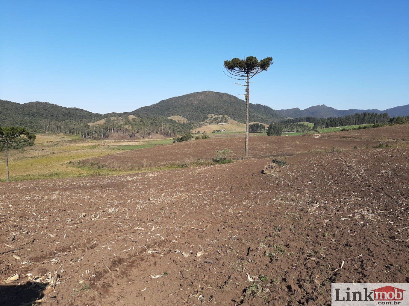 Fazenda à venda com 1 quarto, 1000m² - Foto 35