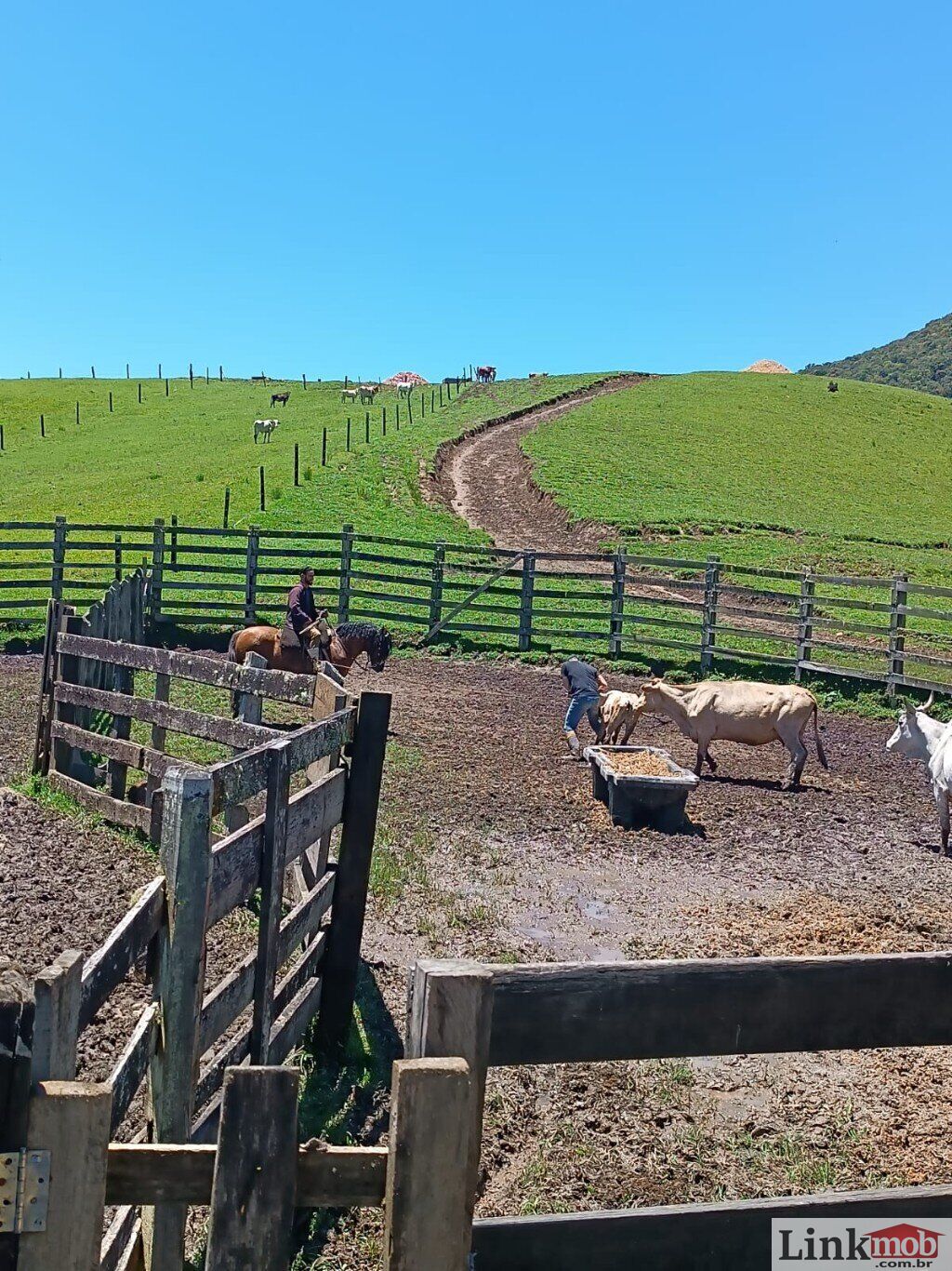 Fazenda à venda com 1 quarto, 1000m² - Foto 48