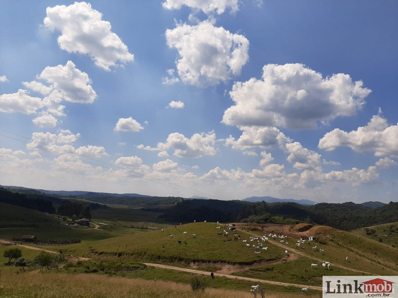 Fazenda à venda com 1 quarto, 1000m² - Foto 43