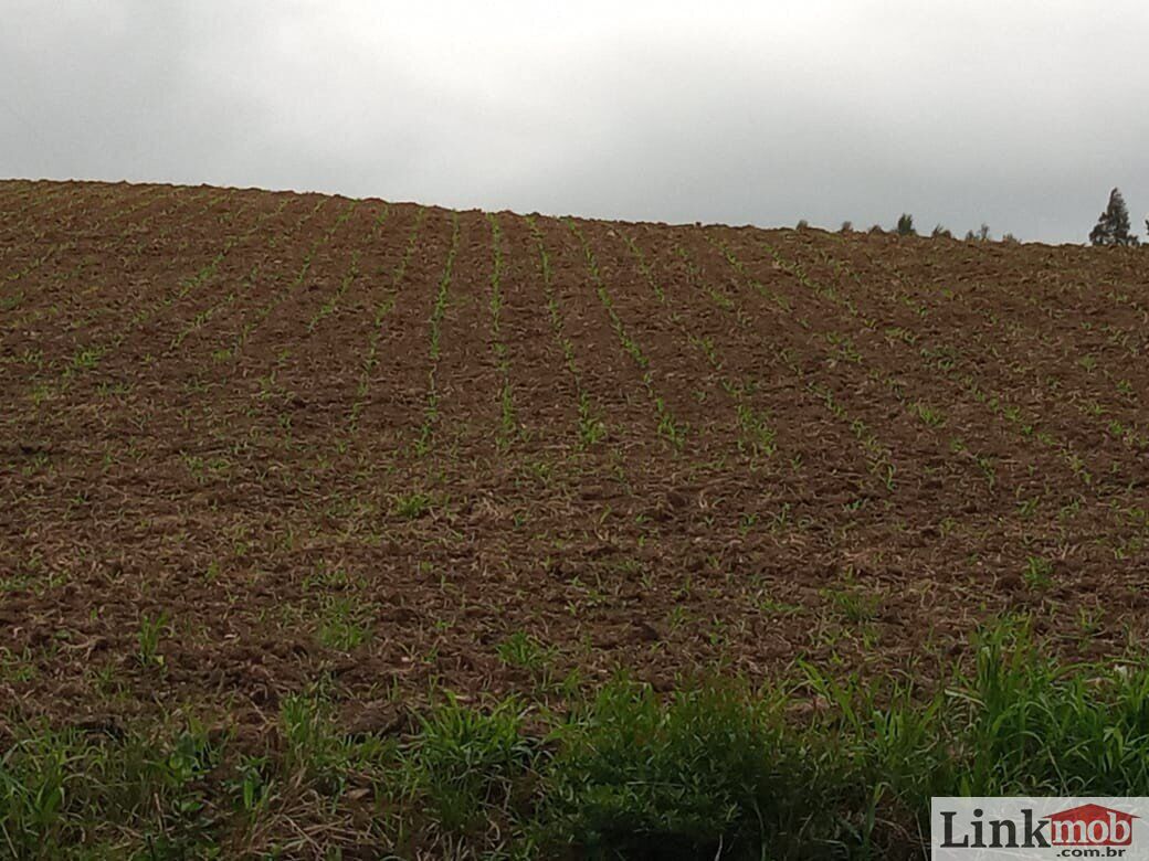 Fazenda à venda com 1 quarto, 1000m² - Foto 14