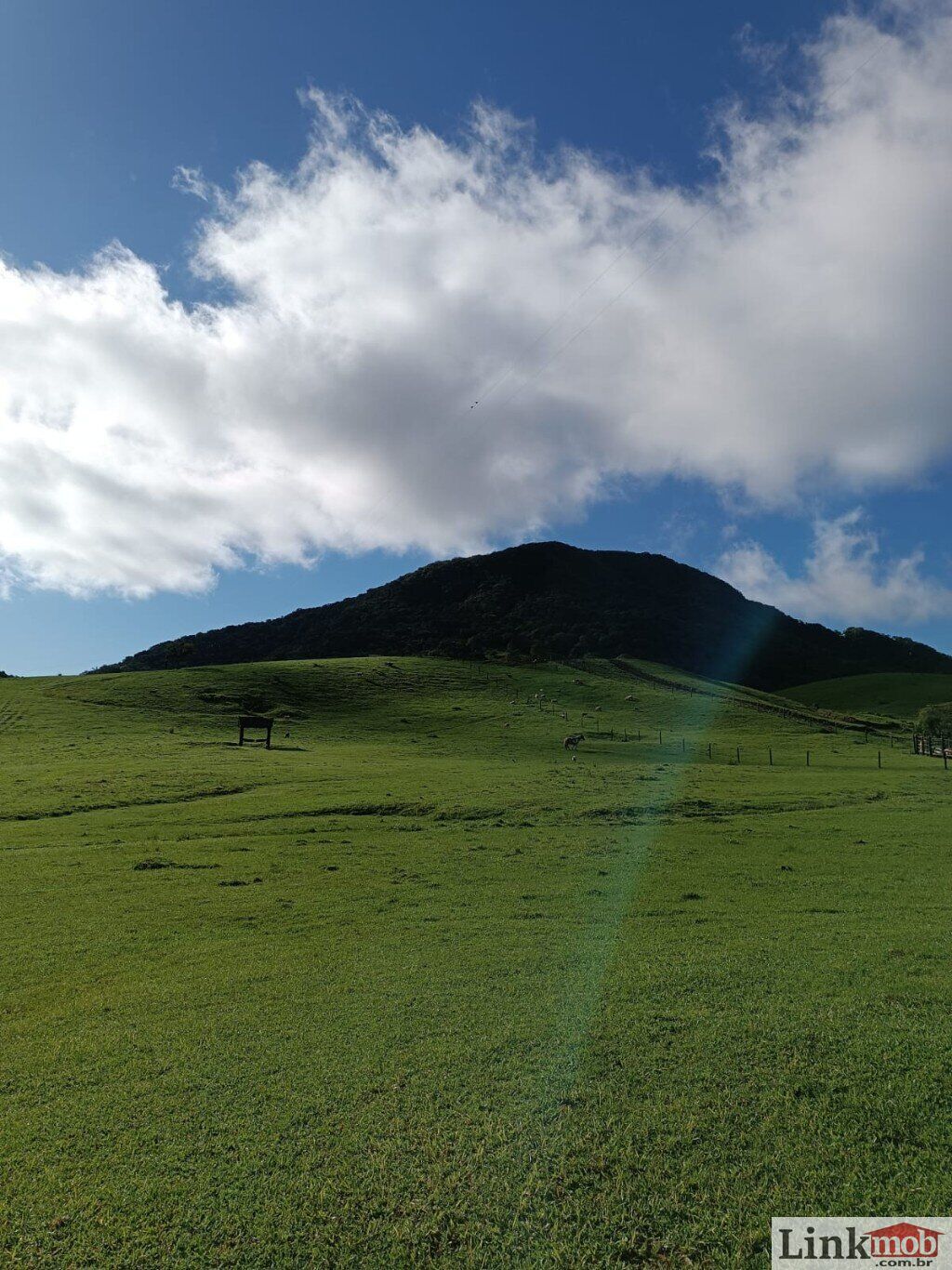 Fazenda à venda com 1 quarto, 1000m² - Foto 17