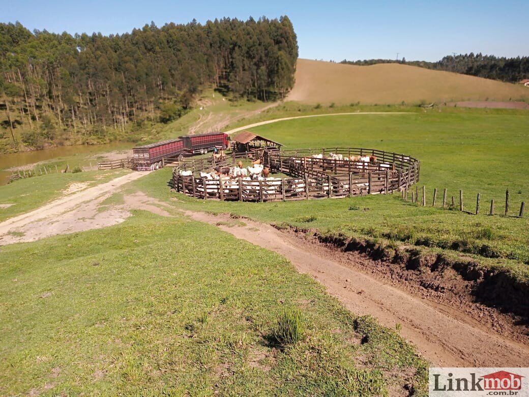 Fazenda à venda com 1 quarto, 1000m² - Foto 23