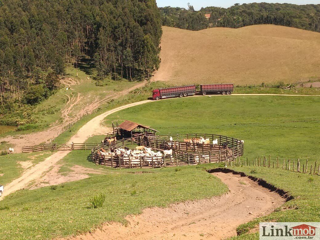 Fazenda à venda com 1 quarto, 1000m² - Foto 37