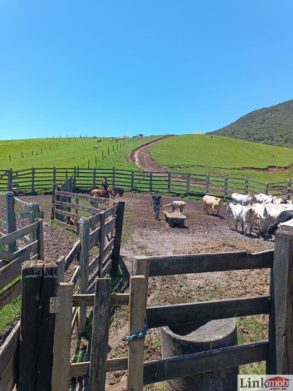 Fazenda à venda com 1 quarto, 1000m² - Foto 31