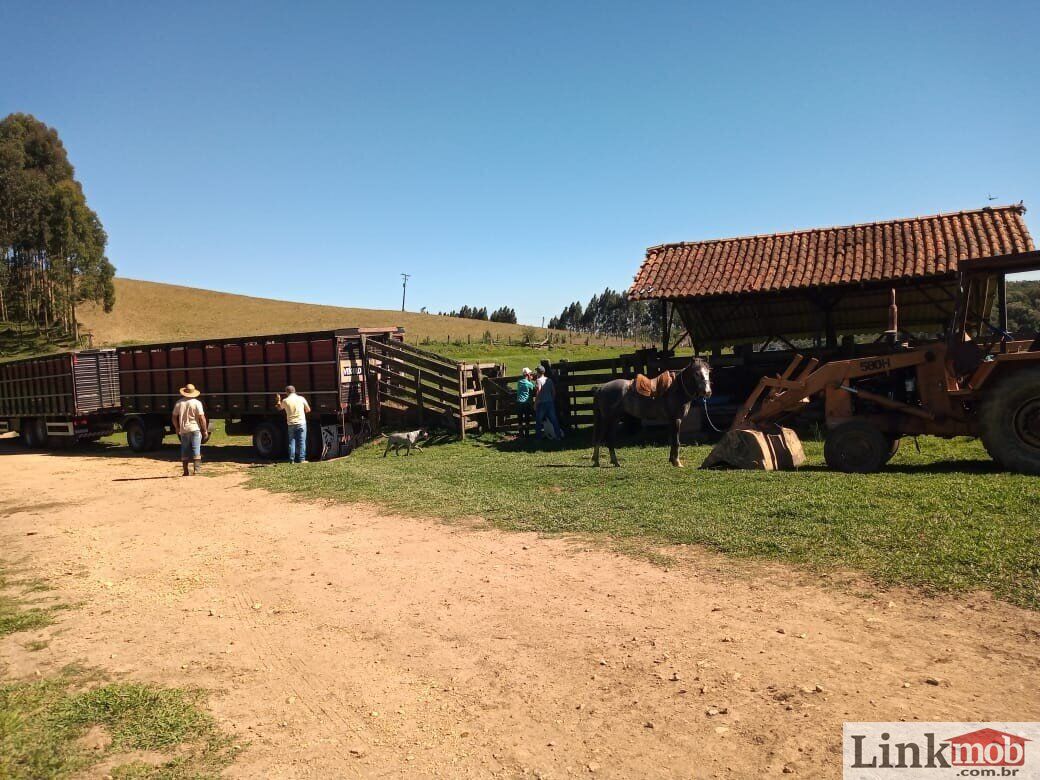 Fazenda à venda com 1 quarto, 1000m² - Foto 39