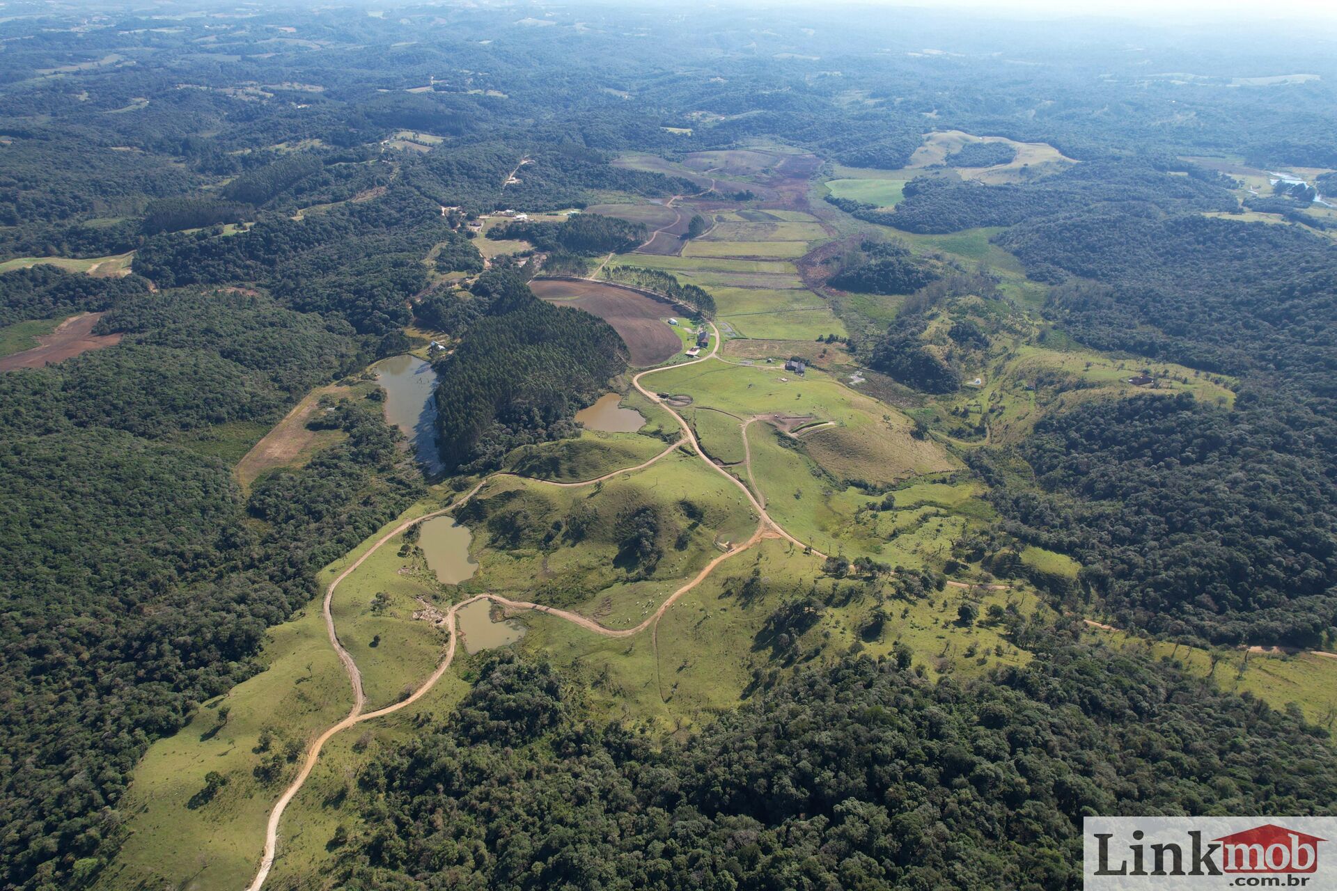 Fazenda à venda com 1 quarto, 1000m² - Foto 50