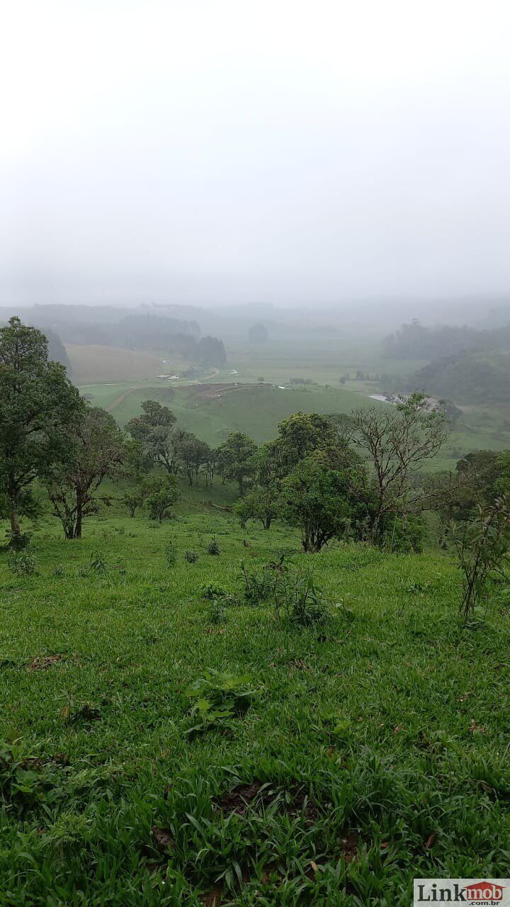 Fazenda à venda com 1 quarto, 1000m² - Foto 15