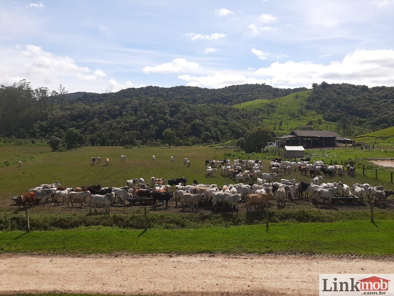 Fazenda à venda com 1 quarto, 1000m² - Foto 25