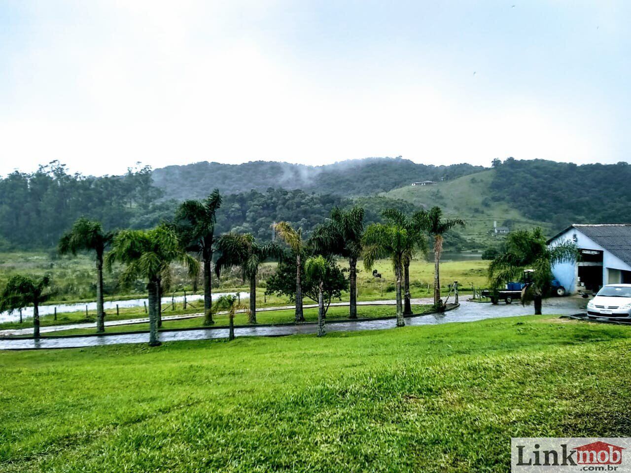 Fazenda à venda com 1 quarto, 1000m² - Foto 44