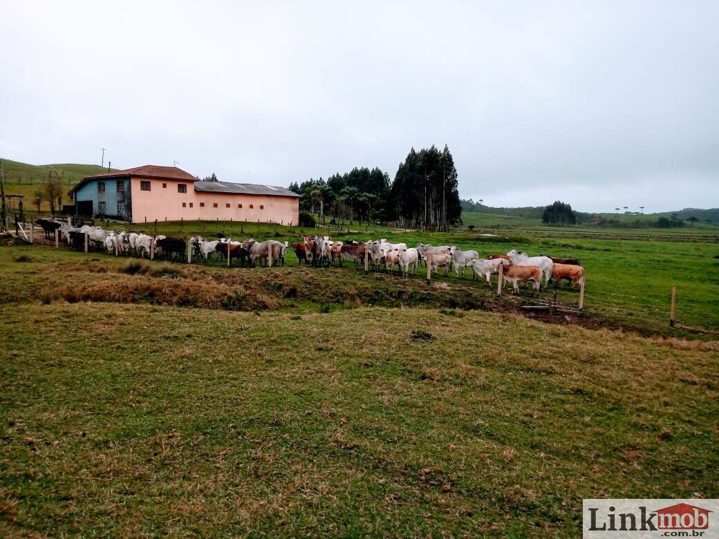 Fazenda à venda com 1 quarto, 1000m² - Foto 12