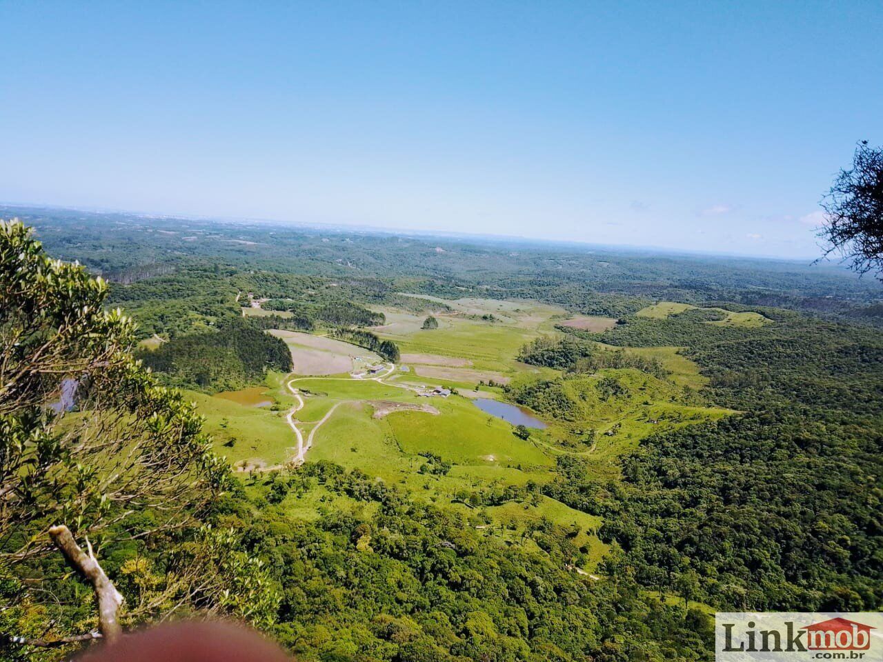 Fazenda à venda com 1 quarto, 1000m² - Foto 1