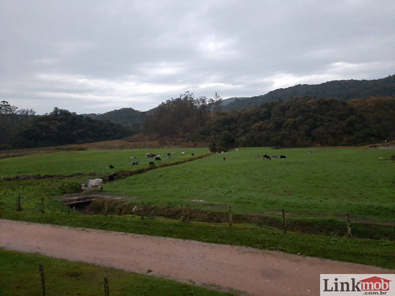 Fazenda à venda com 1 quarto, 1000m² - Foto 28