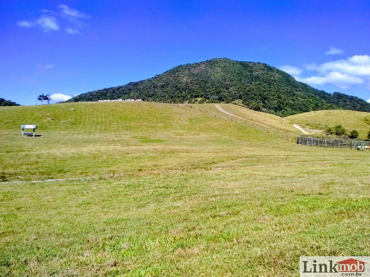 Fazenda à venda com 1 quarto, 1000m² - Foto 4