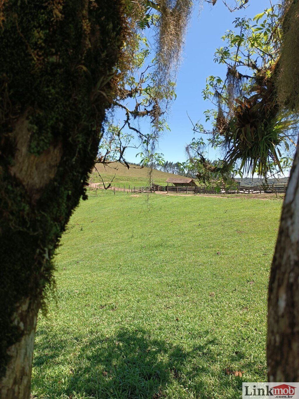 Fazenda à venda com 1 quarto, 1000m² - Foto 36