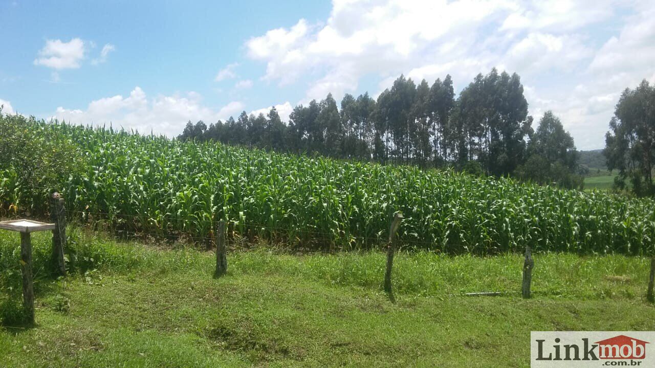 Fazenda à venda com 1 quarto, 1000m² - Foto 33