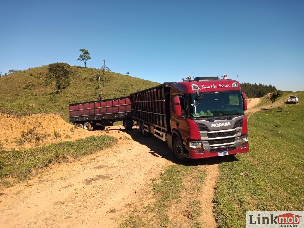 Fazenda à venda com 1 quarto, 1000m² - Foto 22