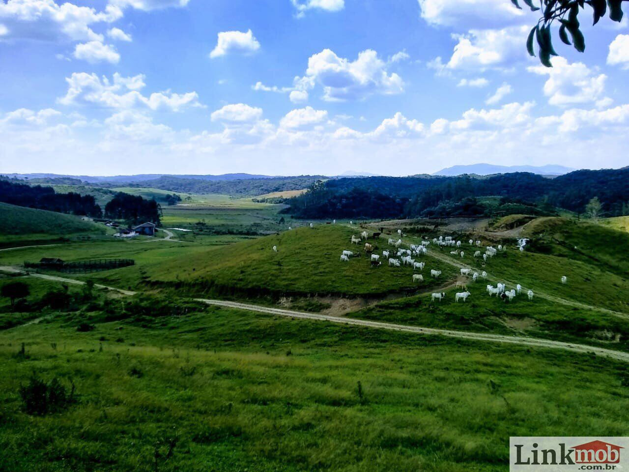 Fazenda à venda com 1 quarto, 1000m² - Foto 16