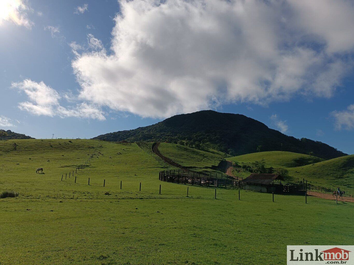 Fazenda à venda com 1 quarto, 1000m² - Foto 13