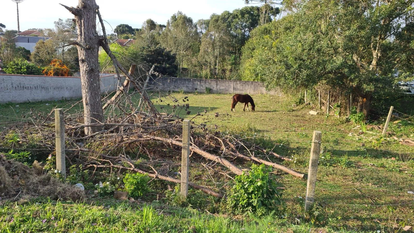 Terreno à venda, 1505m² - Foto 1