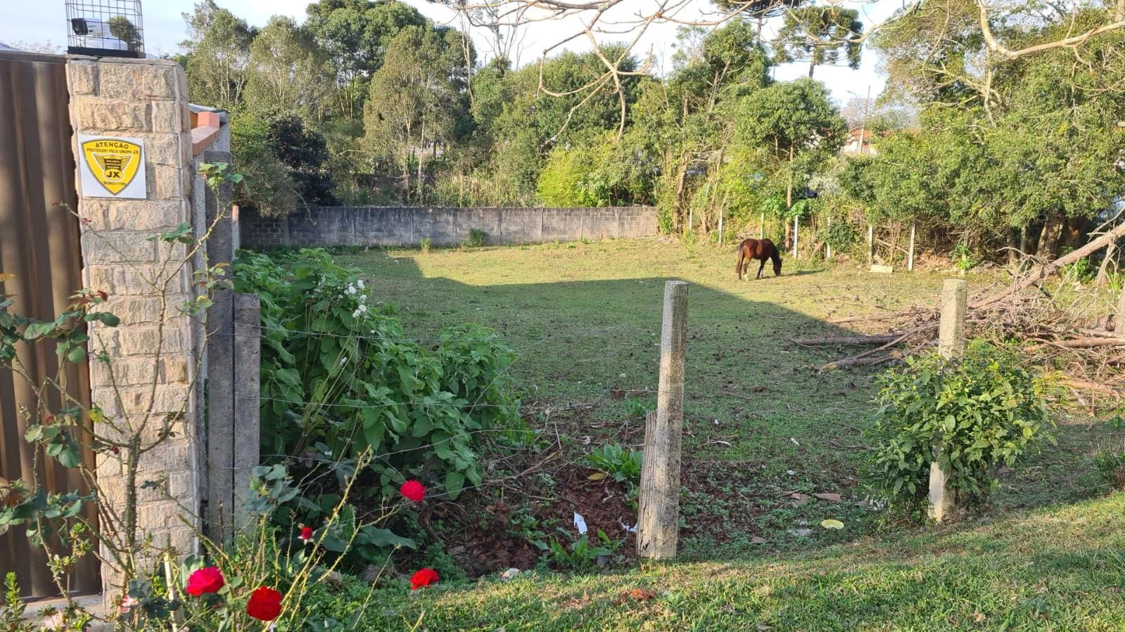 Terreno à venda, 1505m² - Foto 4