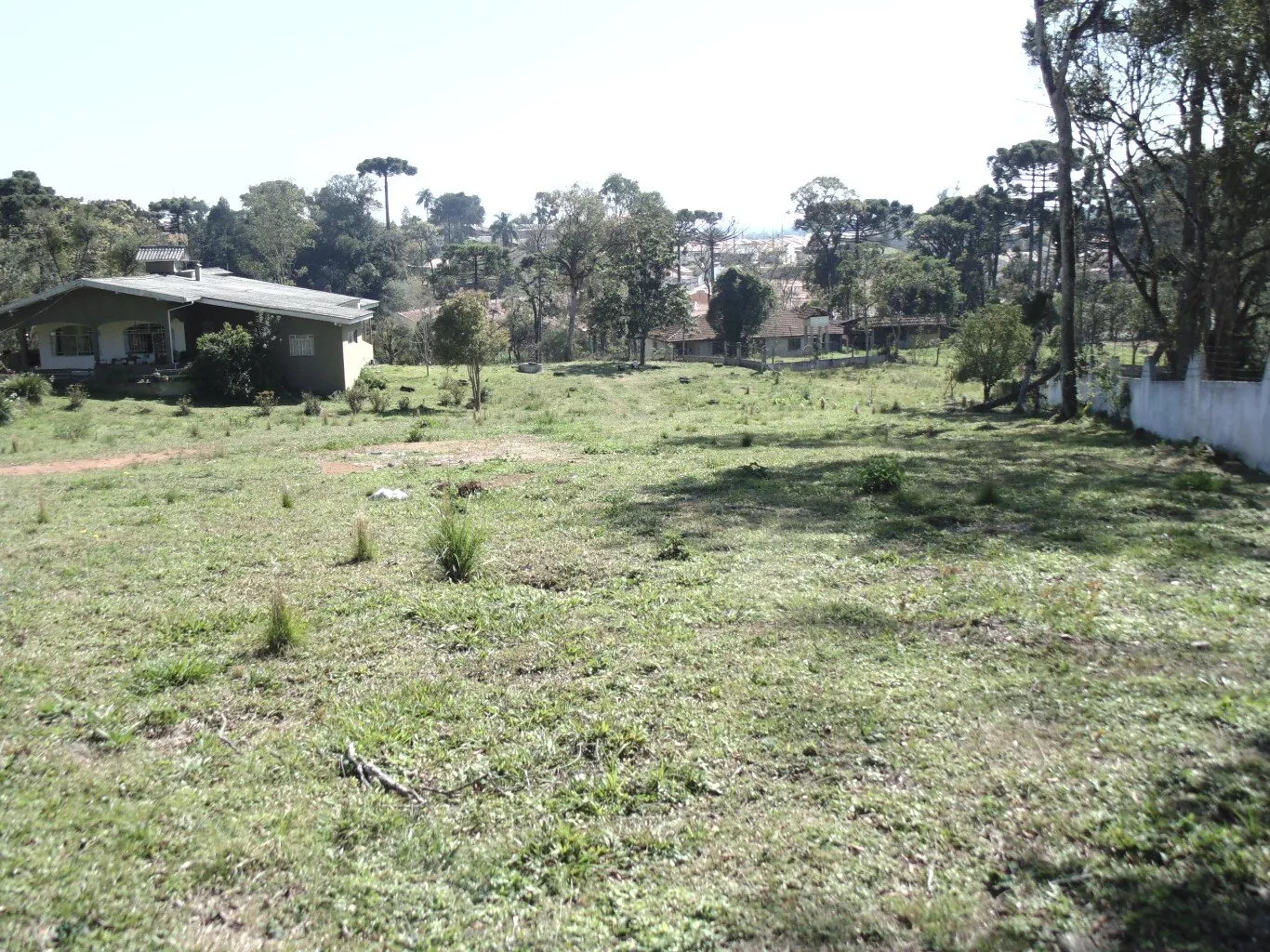 Terreno para alugar, 18000m² - Foto 13