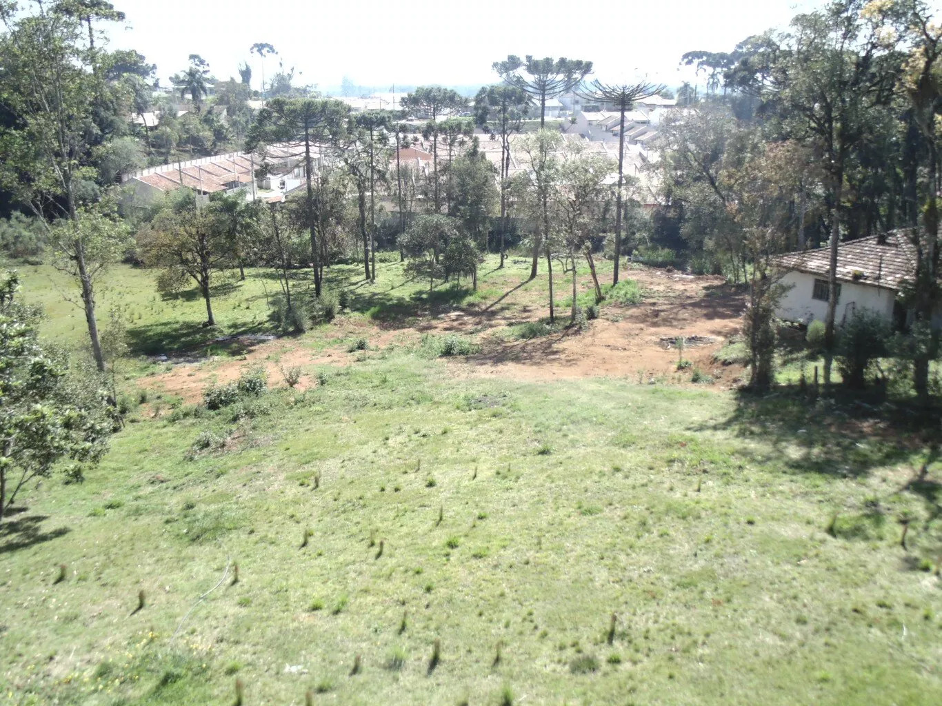 Terreno para alugar, 18000m² - Foto 6