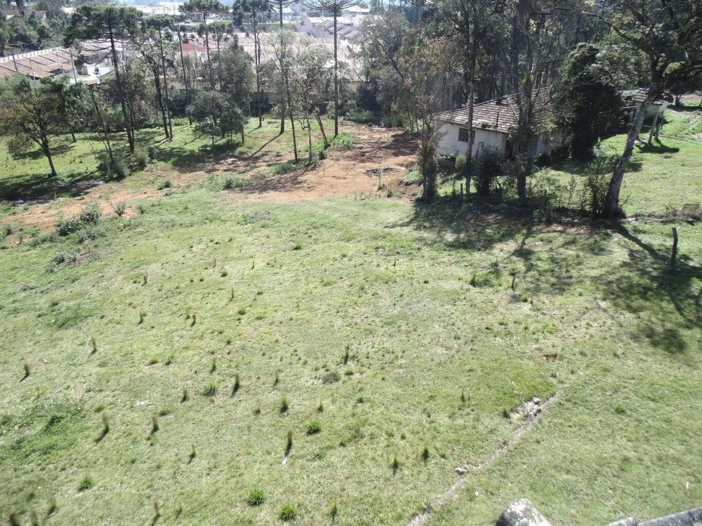 Terreno para alugar, 18000m² - Foto 5