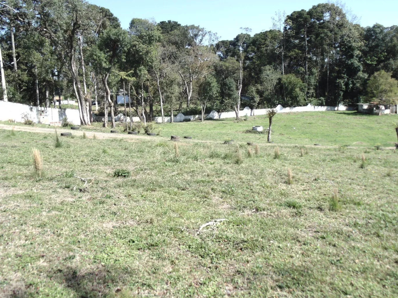 Terreno para alugar, 18000m² - Foto 14