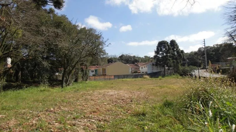 Terreno à venda, 600m² - Foto 6