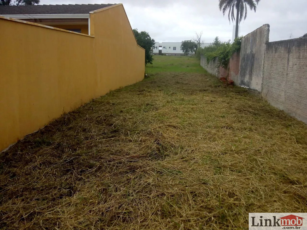 Terreno à venda, 1260m² - Foto 5