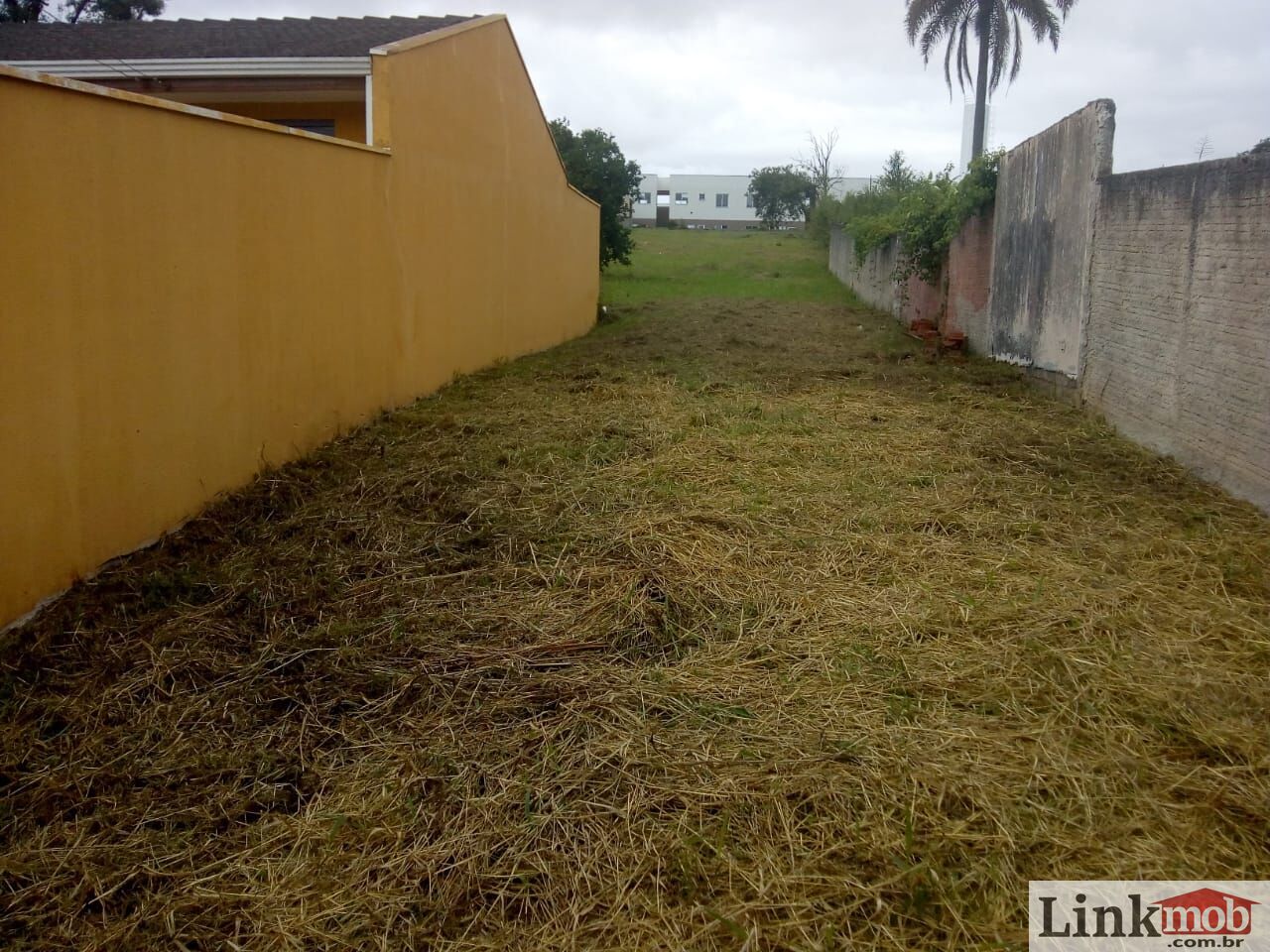 Terreno à venda, 1260m² - Foto 6