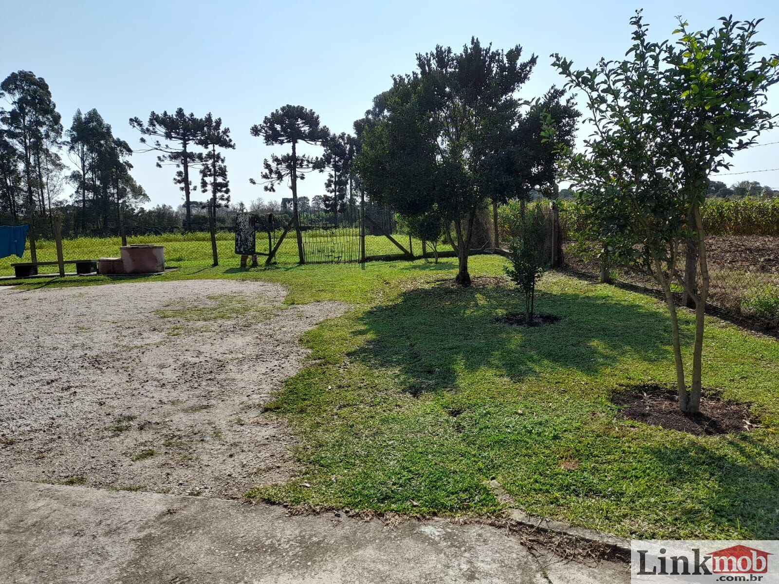 Chácara à venda com 8 quartos, 6500m² - Foto 3