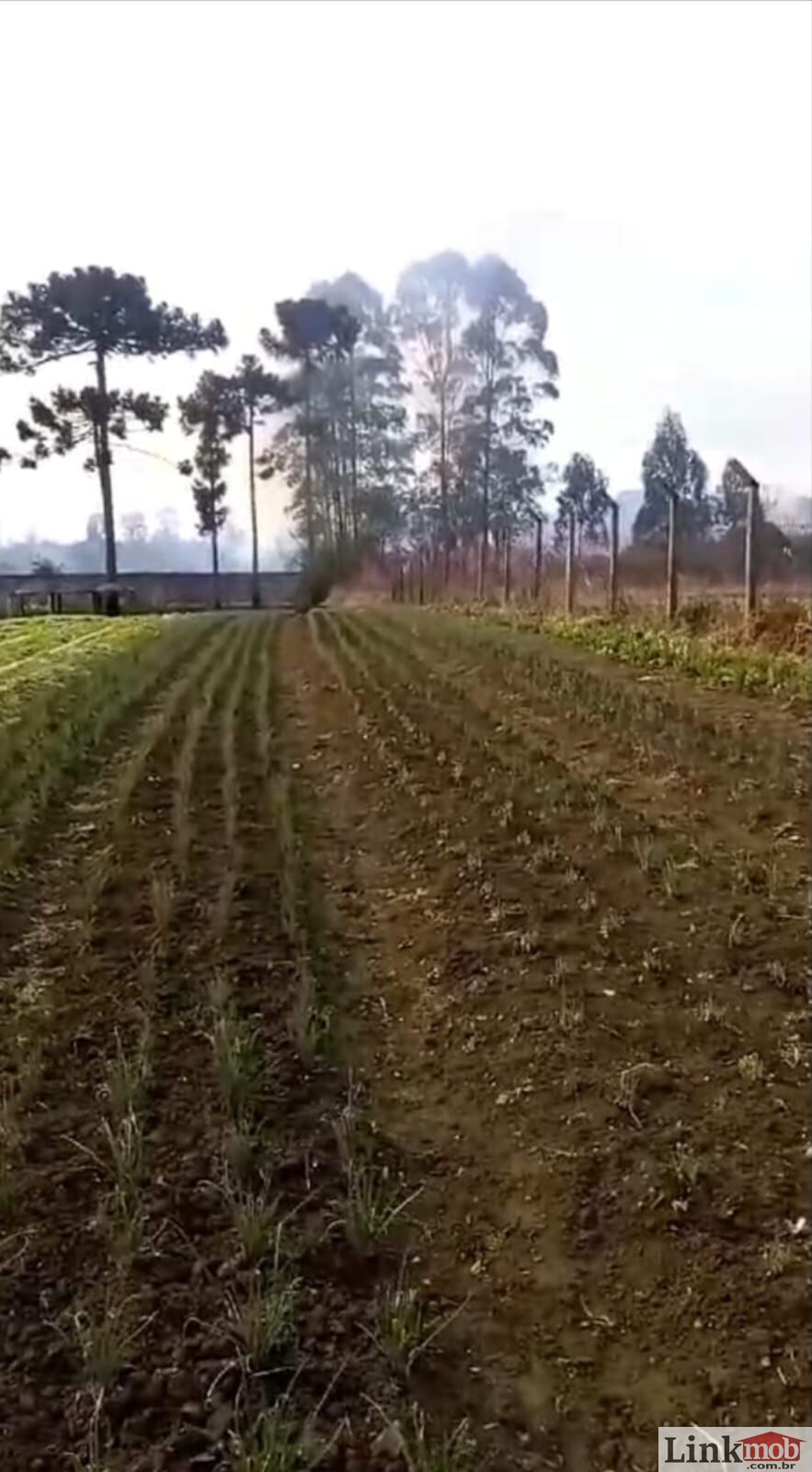 Chácara à venda com 8 quartos, 6500m² - Foto 19