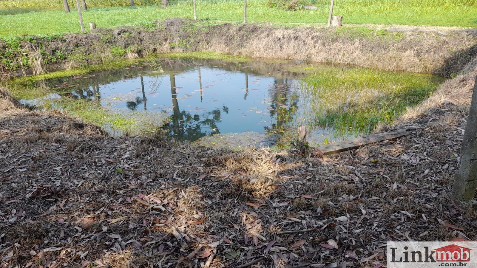 Chácara à venda com 8 quartos, 6500m² - Foto 18