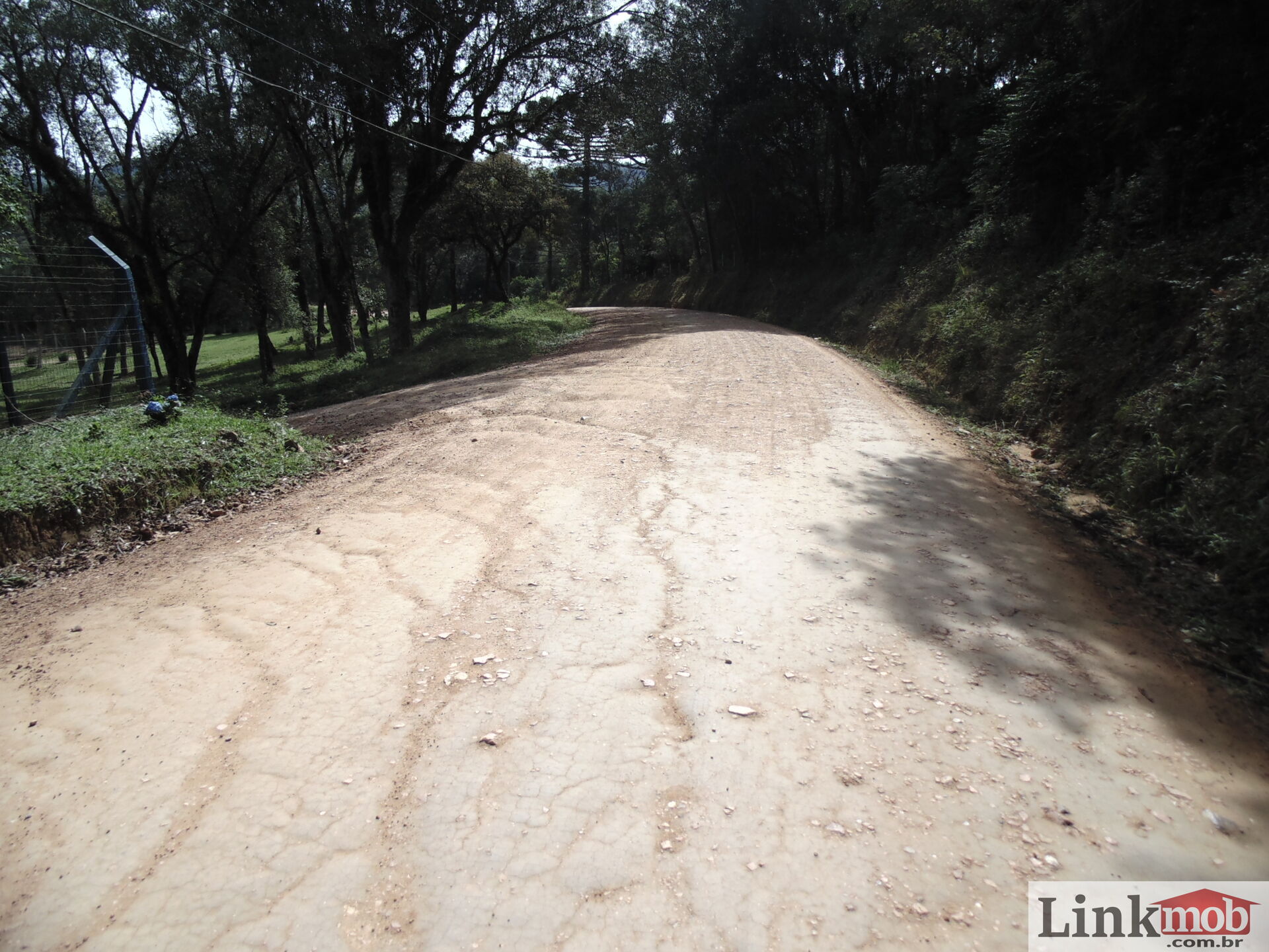 Fazenda à venda, 50000m² - Foto 13