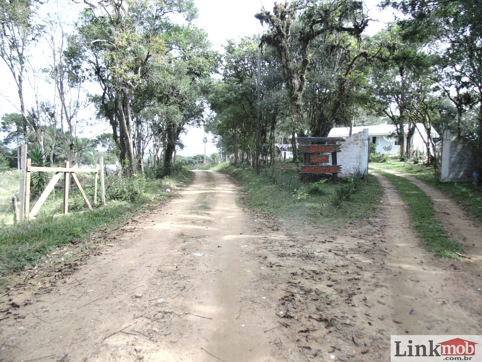 Fazenda à venda, 50000m² - Foto 11