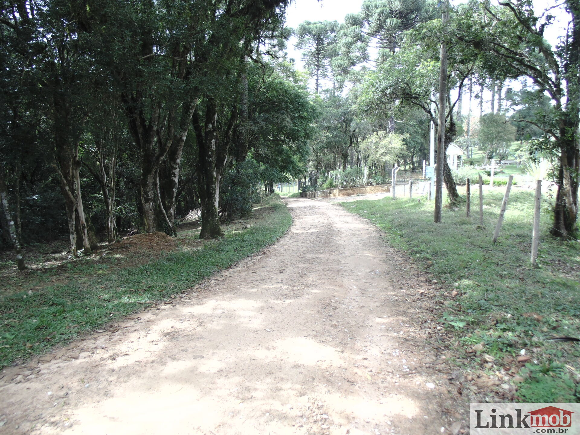 Fazenda à venda, 50000m² - Foto 10