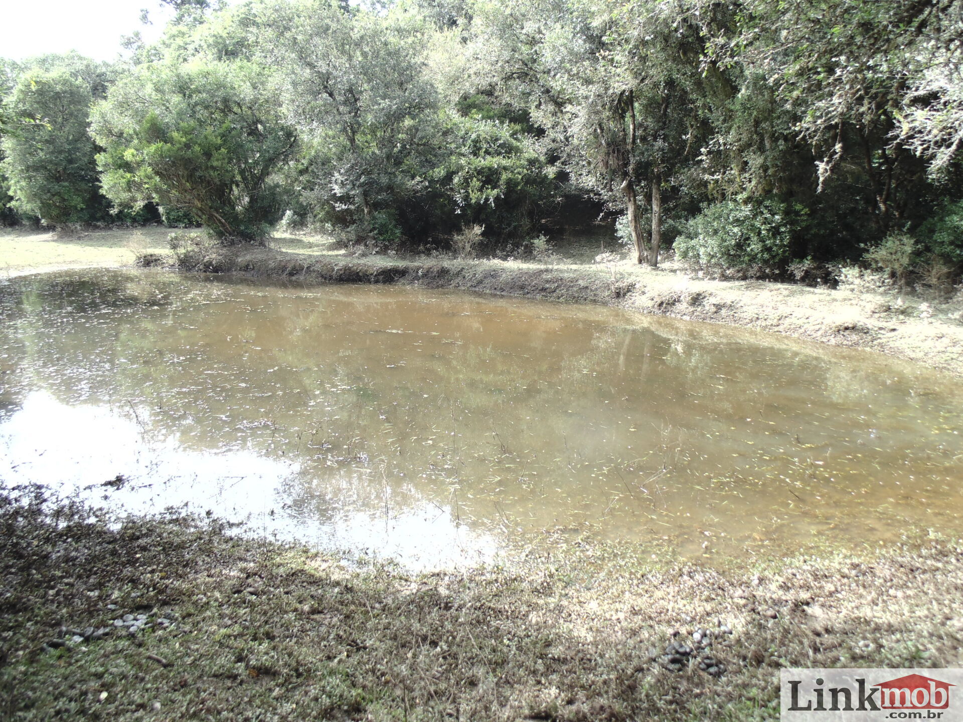 Fazenda à venda, 50000m² - Foto 2