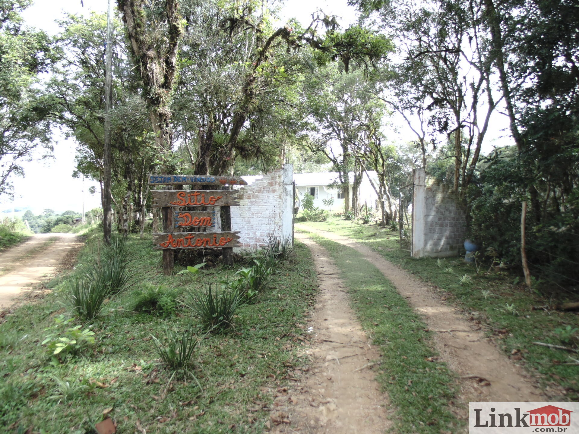 Fazenda à venda, 50000m² - Foto 9