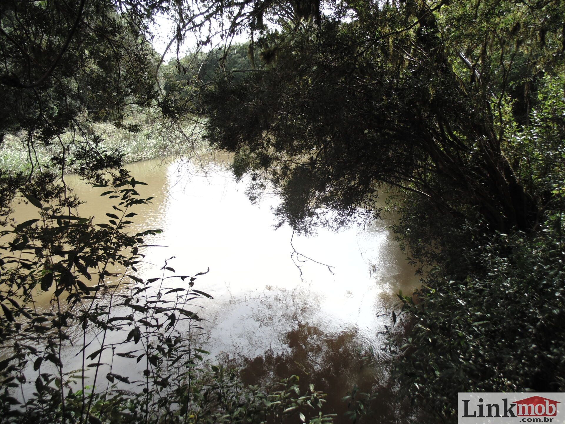 Fazenda à venda, 50000m² - Foto 6