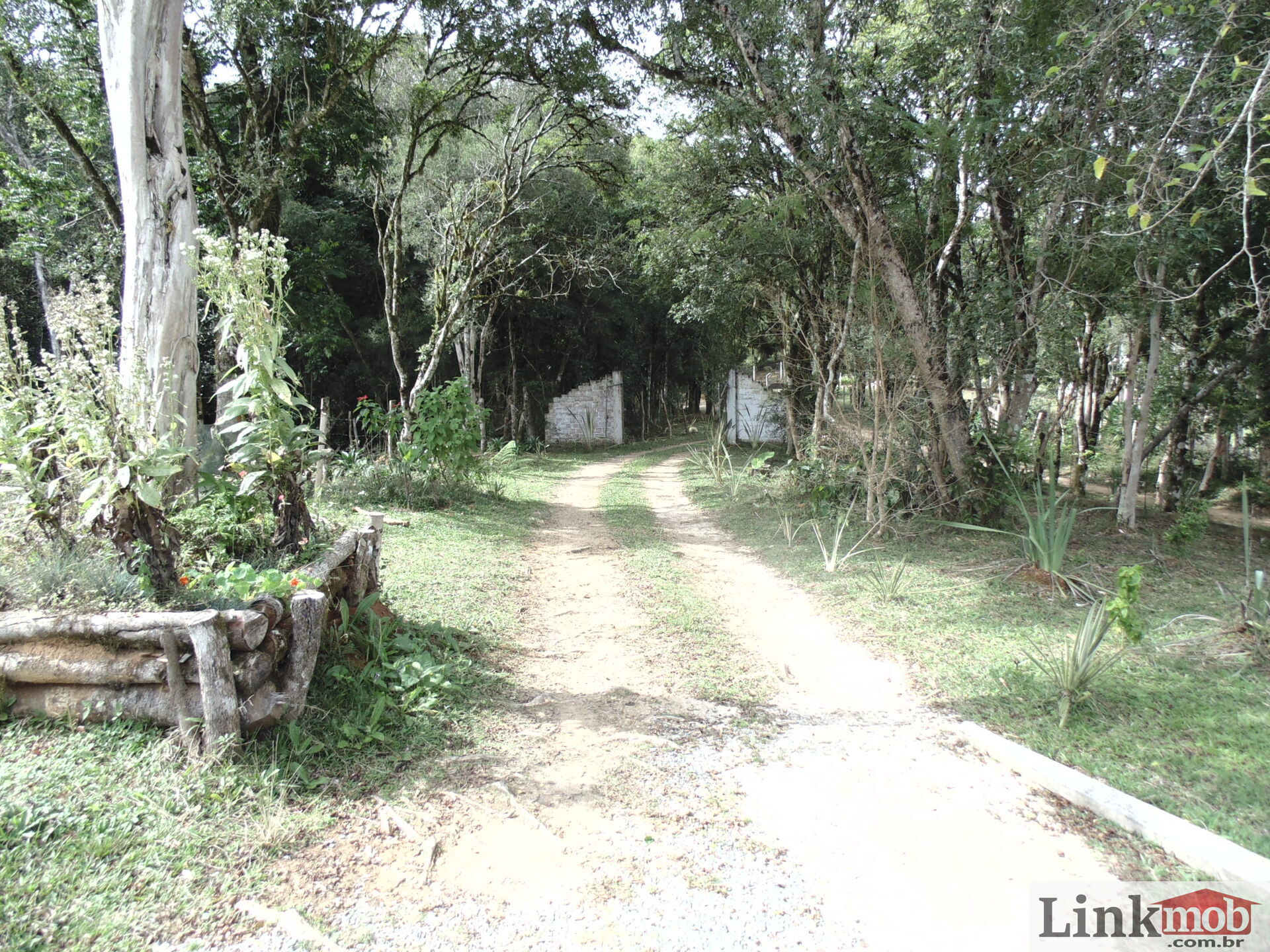 Fazenda à venda, 50000m² - Foto 8