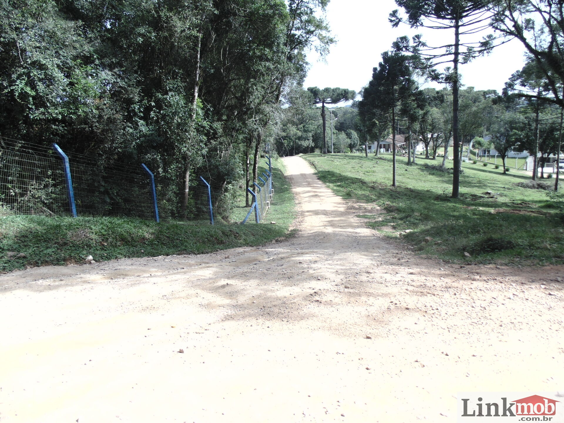 Fazenda à venda, 50000m² - Foto 16